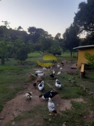 Imagem Chácara com 2 Quartos à Venda, 21.250 m² em Jardim Brasília - Mairinque Imagem Chácara com 2 Quartos à Venda, 21.250 m² em Jardim Brasília - Mairinque