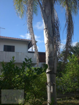 Imagem Casa com 2 Quartos à Venda, 294 m² em Jardim Jamaica - Itanhaém Imagem Casa com 2 Quartos à Venda, 294 m² em Jardim Jamaica - Itanhaém