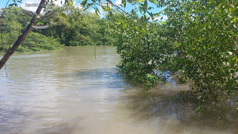 Imagem Terreno à Venda, 23.000 m² em Marapanim Imagem Terreno à Venda, 23.000 m² em Marapanim