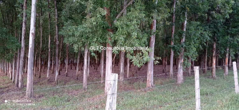 Imagem Terreno à Venda, em Cardeal - Elias Fausto Imagem Terreno à Venda, em Cardeal - Elias Fausto