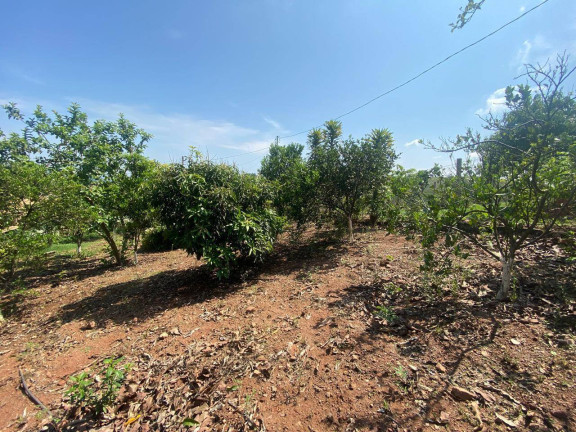 Imagem Fazenda à Venda, 18.000 m² em Limeira - Rio Manso Imagem Fazenda à Venda, 18.000 m² em Limeira - Rio Manso