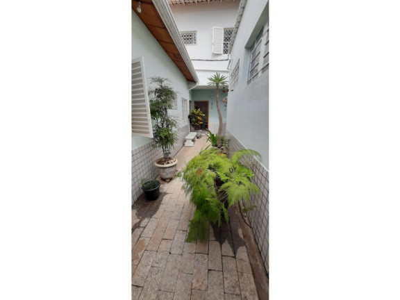 Imagem Casa com 3 Quartos para Alugar, 245 m² em Taquaral - Campinas Imagem Casa com 3 Quartos para Alugar, 245 m² em Taquaral - Campinas
