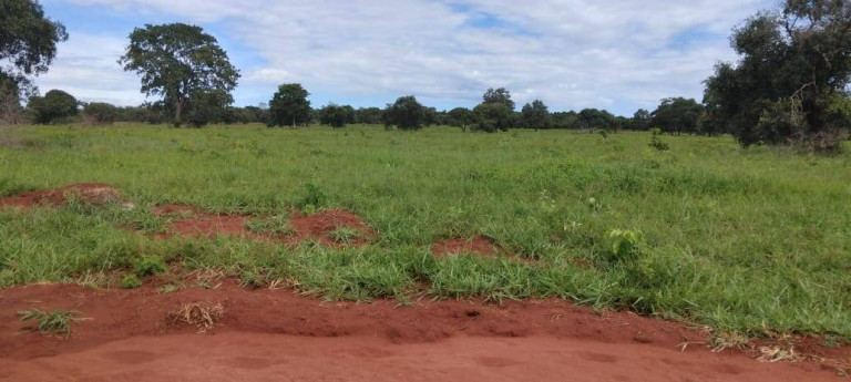 Imagem Fazenda à Venda, 121 m² em Zona Rural - Montes Claros De Goiás
