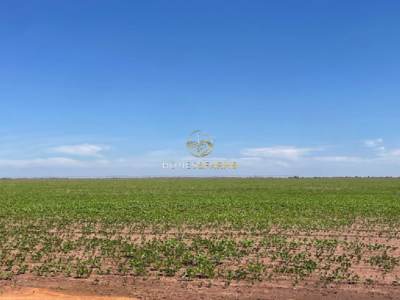 Imagem Imóvel com 3 Quartos à Venda, 5.290 m² em Zona Rural - Britânia Imagem Imóvel com 3 Quartos à Venda, 5.290 m² em Zona Rural - Britânia