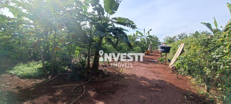 Imagem Chácara com 1 Quarto à Venda, 2.390 m² em Florata Condomínio Florestal - Santo Antônio De Goiás Imagem Chácara com 1 Quarto à Venda, 2.390 m² em Florata Condomínio Florestal - Santo Antônio De Goiás