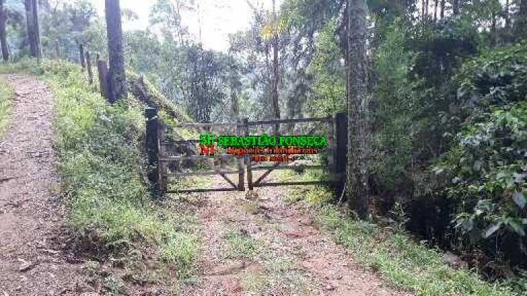 Imagem Chácara à Venda, 40.000 m² em São Francisco Xavier - São José Dos Campos Imagem Chácara à Venda, 40.000 m² em São Francisco Xavier - São José Dos Campos