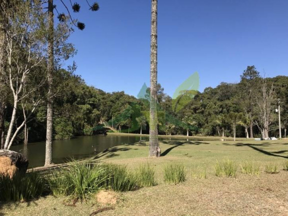 Imagem Chácara com 3 Quartos à Venda, 17.000 m² em Portão - Atibaia Imagem Chácara com 3 Quartos à Venda, 17.000 m² em Portão - Atibaia