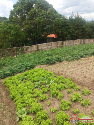 Imagem Terreno à Venda, 500 m² em Veraneio Irajá - Jacareí Imagem Terreno à Venda, 500 m² em Veraneio Irajá - Jacareí