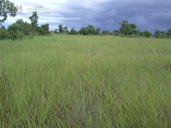 Imagem Chácara à Venda, 830.000.000 m² em Rural - São Félix Do Araguaia Imagem Chácara à Venda, 830.000.000 m² em Rural - São Félix Do Araguaia