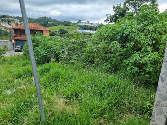 Imagem Terreno à Venda, 294 m² em Barro Branco - Cotia Imagem Terreno à Venda, 294 m² em Barro Branco - Cotia