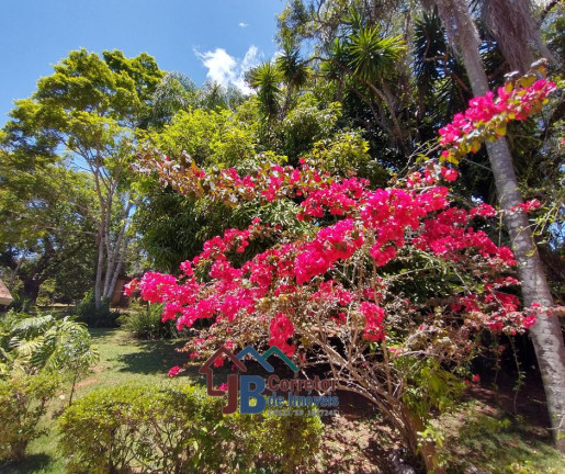 Imagem Chácara com 6 Quartos à Venda, 5.000 m² em Curral - Ibiúna