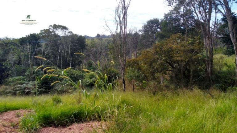 Imagem Terreno à Venda, 235.000 m² em Sorocamirim - São Roque Imagem Terreno à Venda, 235.000 m² em Sorocamirim - São Roque