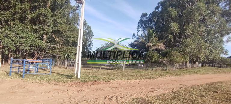 Imagem Fazenda à Venda, 38 m² em Uberaba Imagem Fazenda à Venda, 38 m² em Uberaba