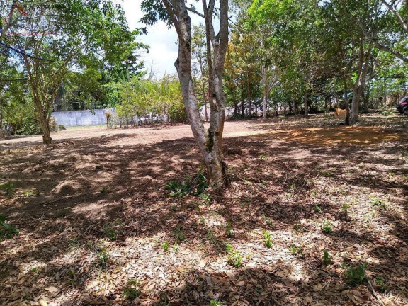 Imagem Terreno à Venda, 50.000 m² em Aldeia - Camaragibe Imagem Terreno à Venda, 50.000 m² em Aldeia - Camaragibe