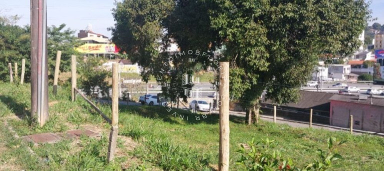 Imagem Terreno à Venda, 2.900 m² em Coqueiros - Florianópolis