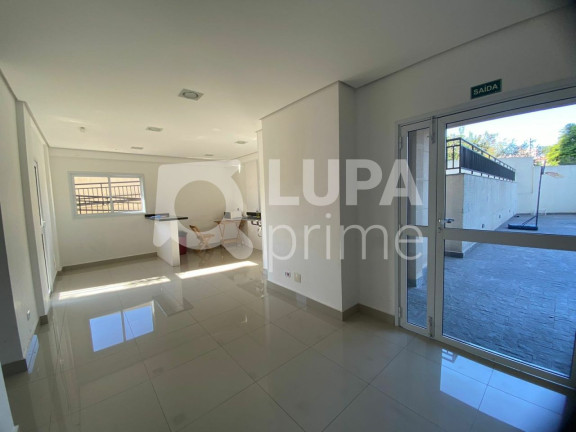 Imagem Apartamento com 2 Quartos à Venda, 60 m² em Vila Ede - São Paulo Imagem Apartamento com 2 Quartos à Venda, 60 m² em Vila Ede - São Paulo
