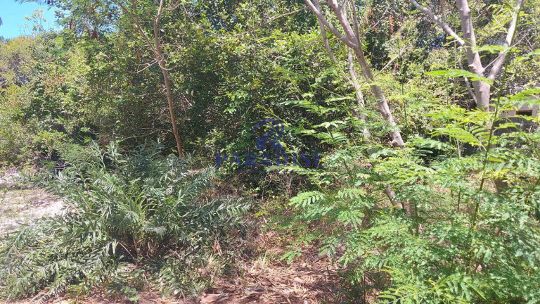Imagem Terreno à Venda, 350 m² em Praia Do Forte - Mata De São João Imagem Terreno à Venda, 350 m² em Praia Do Forte - Mata De São João