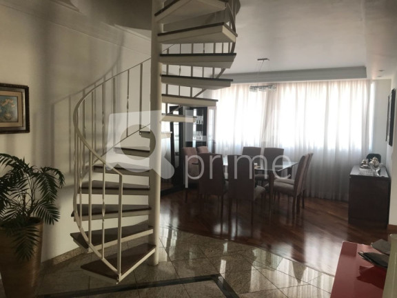 Imagem Apartamento com 3 Quartos à Venda, 250 m² em Vila Paulicéia - São Paulo Imagem Apartamento com 3 Quartos à Venda, 250 m² em Vila Paulicéia - São Paulo