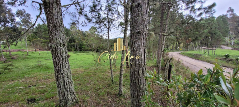 Imagem Terreno à Venda, 5.000 m² em Rancho Queimado Imagem Terreno à Venda, 5.000 m² em Rancho Queimado