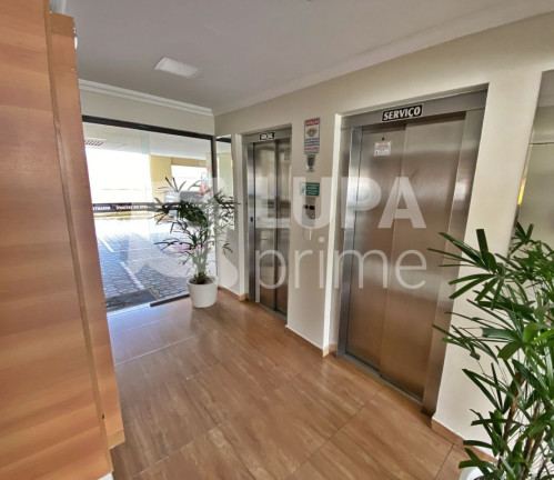 Imagem Apartamento com 3 Quartos para Alugar, 66 m² em Tatuapé - São Paulo Imagem Apartamento com 3 Quartos para Alugar, 66 m² em Tatuapé - São Paulo