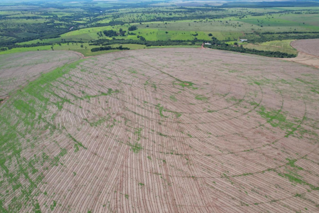 Imagem Fazenda à Venda, 74 m² em Zona Rural - Prata