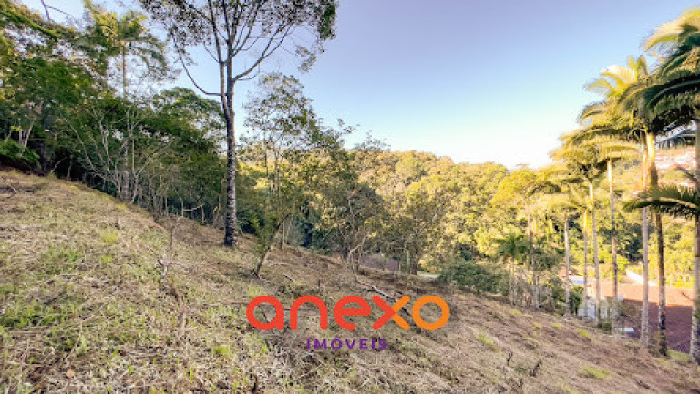 Imagem Terreno à Venda, 9.690 m² em Itoupavazinha - Blumenau Imagem Terreno à Venda, 9.690 m² em Itoupavazinha - Blumenau