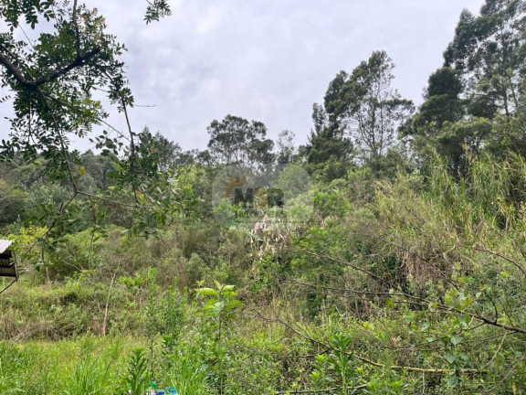 Imagem Imóvel com 2 Quartos à Venda, 70 m² em Linha Brasil - Nova Petrópolis