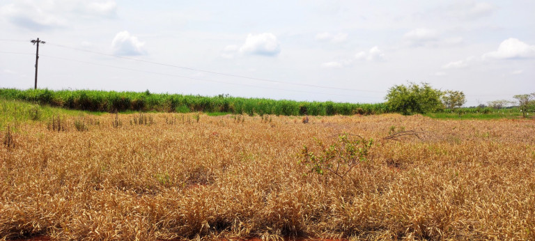 Terreno à Venda, 20.000 m² em área Rural De Iracemápolis - Iracemápolis