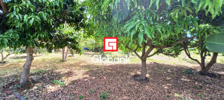 Imagem Imóvel com 3 Quartos à Venda, 12.000 m² em São João Das Veredas - Montes Claros