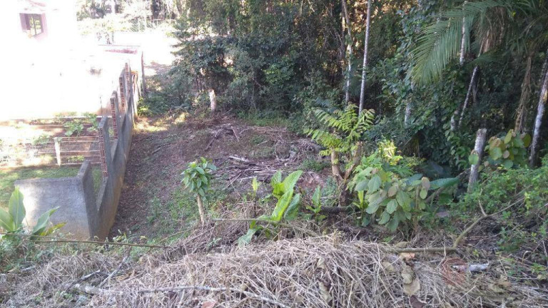 Imagem Terreno à Venda, 2.877 m² em Itoupava Central - Blumenau Imagem Terreno à Venda, 2.877 m² em Itoupava Central - Blumenau