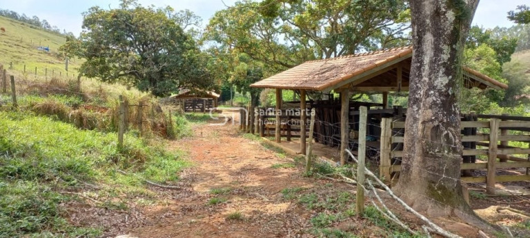 Imagem Imóvel com 3 Quartos à Venda, 205.700 m² em Bairro Córrego Do Rosário - Lorena