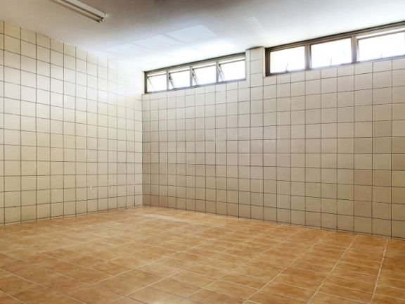 Imagem Galpão para Alugar, 1.233 m² em Vila Palmeiras - São Paulo