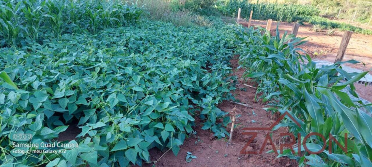 Imagem Chácara à Venda, 2.000 m² em Santa Luzia Rural - Taubaté