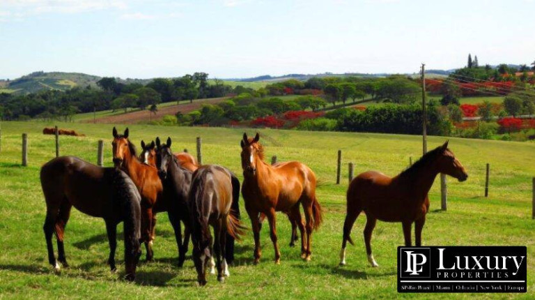 Imagem Chácara com 8 Quartos à Venda, em Centro - Santo Antônio De Posse Imagem Chácara com 8 Quartos à Venda, em Centro - Santo Antônio De Posse