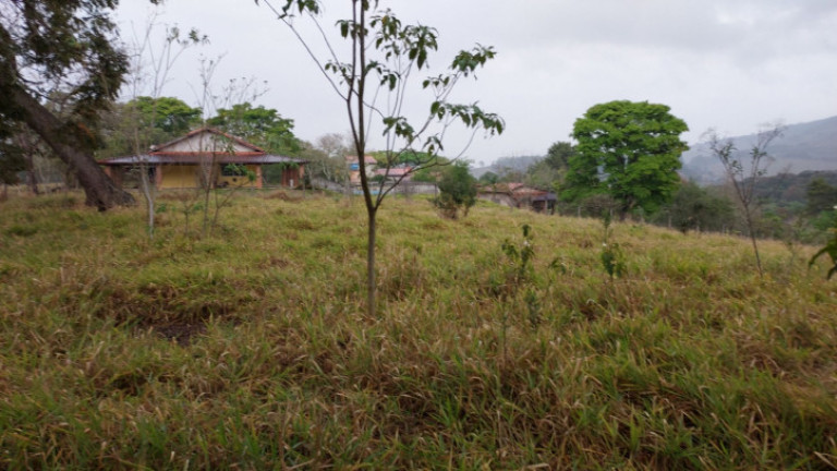 Imagem Terreno à Venda, 9.200 m² em Centro - Extrema Imagem Terreno à Venda, 9.200 m² em Centro - Extrema