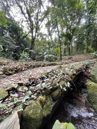 Imagem Imóvel com 5 Quartos à Venda, 20.000 m² em Maresias - São Sebastião