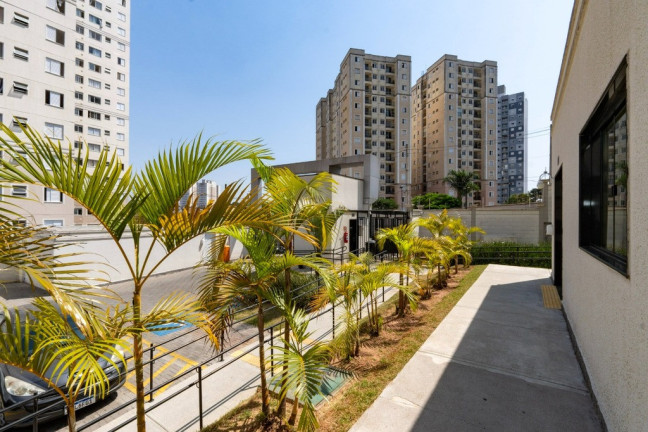 Imagem Apartamento com 2 Quartos à Venda, 43 m² em Parque Reboucas - São Paulo Imagem Apartamento com 2 Quartos à Venda, 43 m² em Parque Reboucas - São Paulo