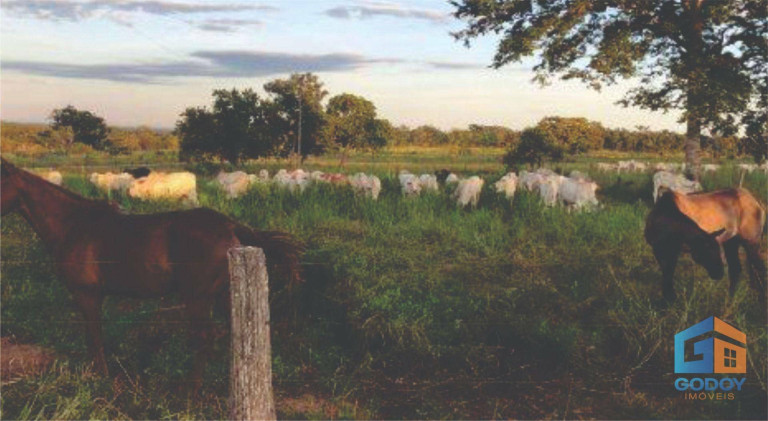 Fazenda à Venda, 6.200.000 m² em Zona Rural - Diamantino
