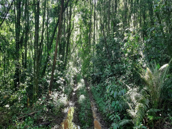 Imagem Terreno à Venda, 3 m² em São Jaco - Nova Petrópolis Imagem Terreno à Venda, 3 m² em São Jaco - Nova Petrópolis