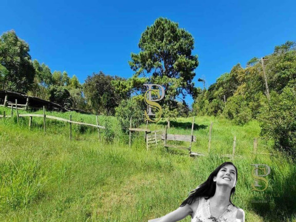 Imagem Imóvel à Venda, 5.000 m² em Terra Preta - Mairiporã Imagem Imóvel à Venda, 5.000 m² em Terra Preta - Mairiporã