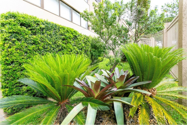 Imagem Imóvel com 3 Quartos à Venda, 137 m² em Jardim Planalto - Porto Alegre Imagem Imóvel com 3 Quartos à Venda, 137 m² em Jardim Planalto - Porto Alegre