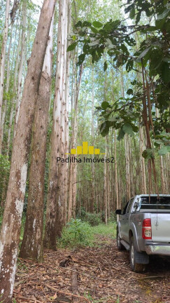 Imagem Fazenda à Venda, 241 m² em Guaratinguetá Imagem Fazenda à Venda, 241 m² em Guaratinguetá