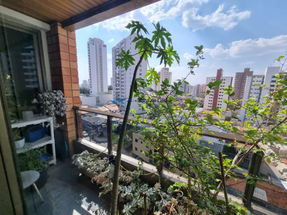 Imagem Apartamento com 3 Quartos à Venda, 190 m² em Vila Gilda - Santo André Imagem Apartamento com 3 Quartos à Venda, 190 m² em Vila Gilda - Santo André