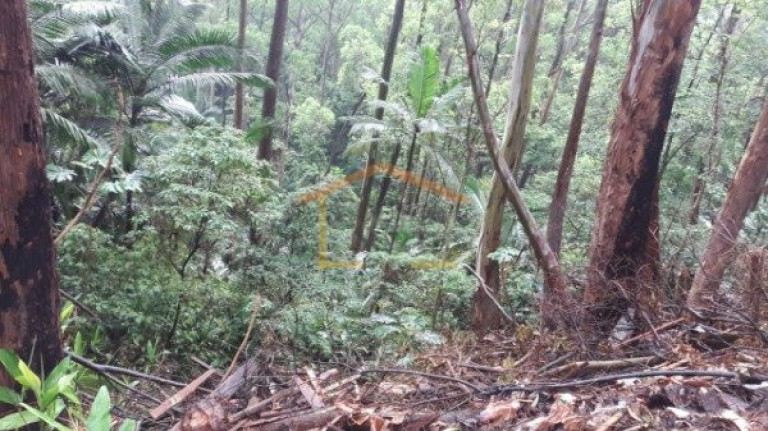 Imagem Terreno à Venda, 3.351 m² em Tucuruvi - São Paulo Imagem Terreno à Venda, 3.351 m² em Tucuruvi - São Paulo