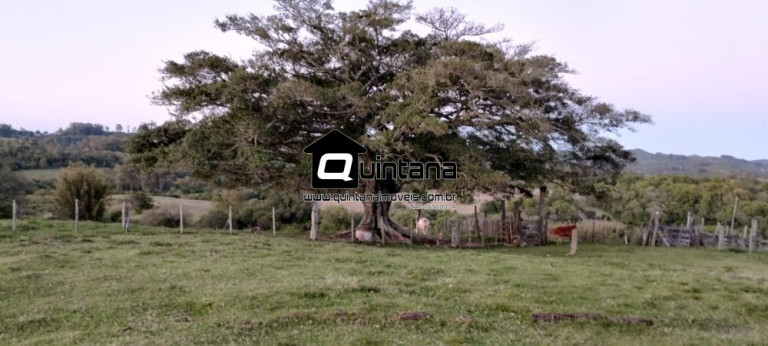 Imagem Imóvel com 1 Quarto à Venda, 230.000 m² em Santo Amor - Morro Redondo
