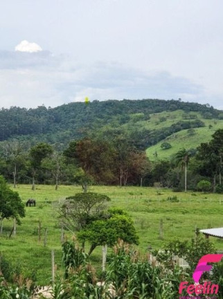 Imagem Casa de Condomínio com 3 Quartos à Venda, 200 m² em Vargem Grande - Florianópolis