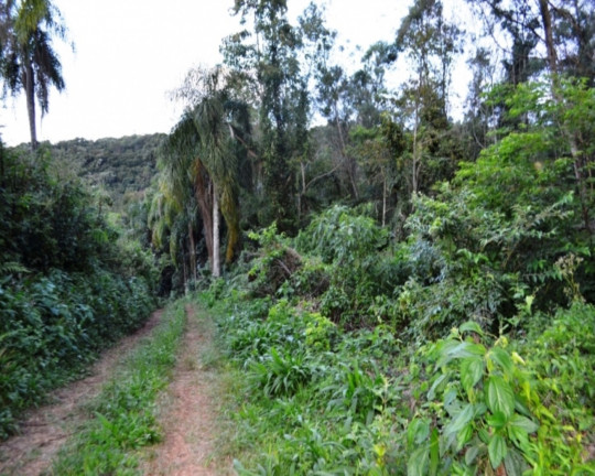 Imagem Imóvel à Venda, em Vila Germânia - Nova Petrópolis Imagem Imóvel à Venda, em Vila Germânia - Nova Petrópolis