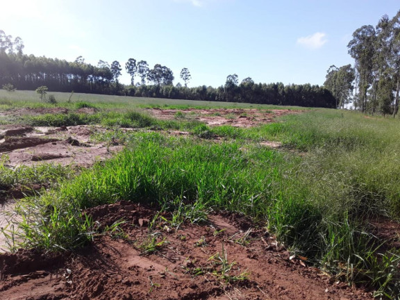 Imagem Chácara à Venda, 4 m² em Rural - Avaré Imagem Chácara à Venda, 4 m² em Rural - Avaré