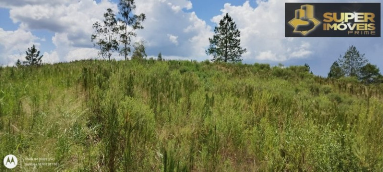 Imagem Imóvel com 4 Quartos à Venda, 150.000 m² em Zona Rural - Morro Redondo