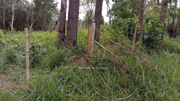 Imagem Terreno em Condomínio à Venda, 15.070 m² em Estoril - Nova Lima